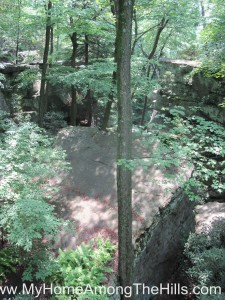 06_11_2011 124