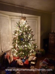 The 2011 Christmas tree