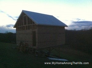 Metal roof on small cabin