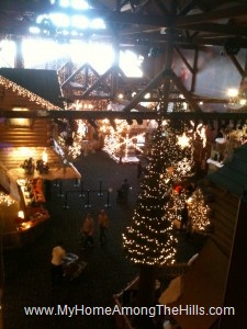 Great Wolf Lodge
