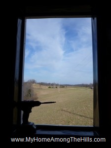 Not a bad view from the new window in our small cabin