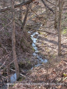 A small stream