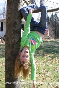 Upside down in a tree