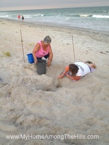 06_18_2012 013 Getting ready to move loggerhead turtle eggs