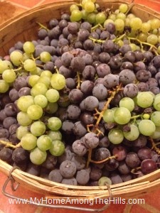 Grapes!