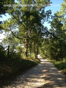 WV Country Road