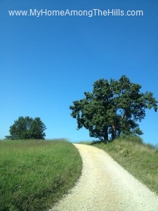 A view from my WV Ridge