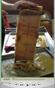uncapping a frame of honey
