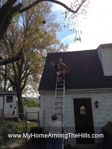 Cutting down a tree