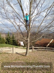 Girl climbing a tree!