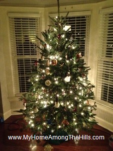 Our Christmas tree!