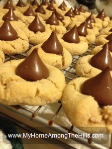 peanutbutter cookies