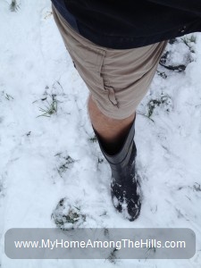 Shorts in the snow