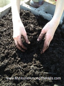 Working in the dirt