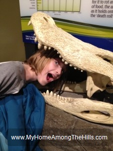 Newport Aquarium