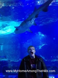 Newport Aquarium
