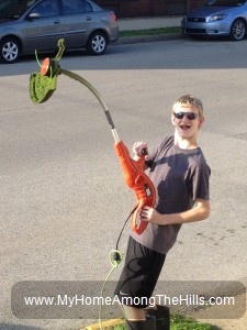 Weed whacking