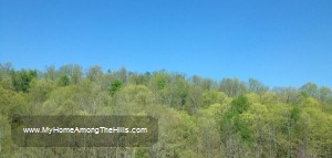Spring mountains