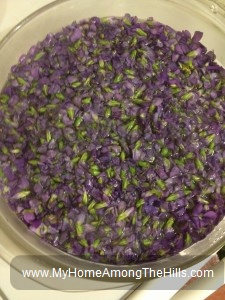 Making wild violet blossom jelly