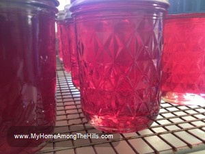 Violet blossom jelly