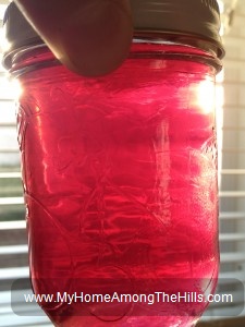 Violet blossom jelly