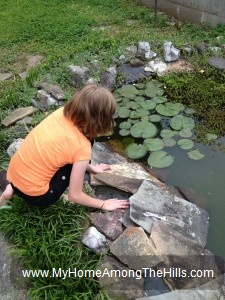 Looking for frogs in the pond