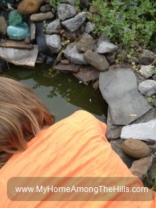 Mrs Frog!