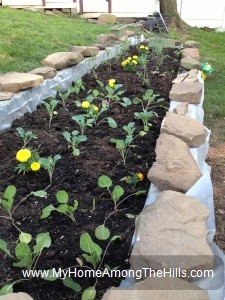 Raised bed garden from railroad ties