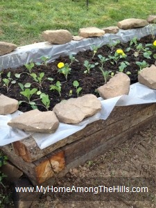 Raised bed garden from railroad ties