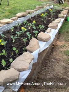 Raised bed garden from railroad ties