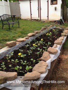 Raised bed garden from railroad ties