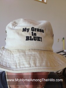 My Grass is Blue