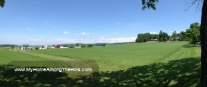 The view from the barn